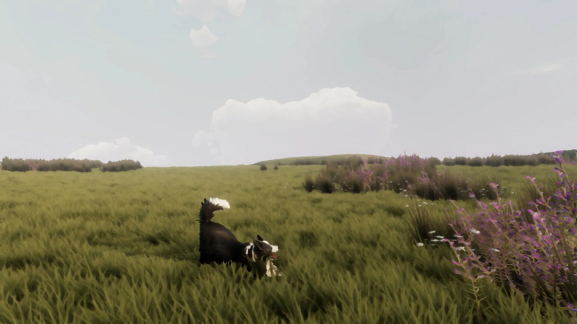 The Free Shepherd Captura 3